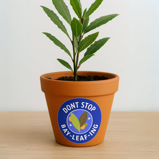 close up of bay leaf sticker