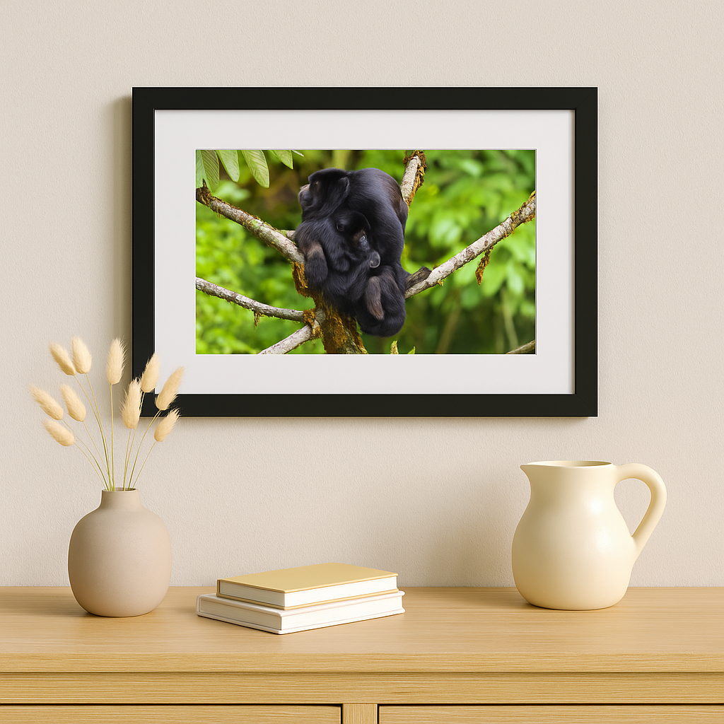 Busy Family of Four in the Jungles of Costa Rica