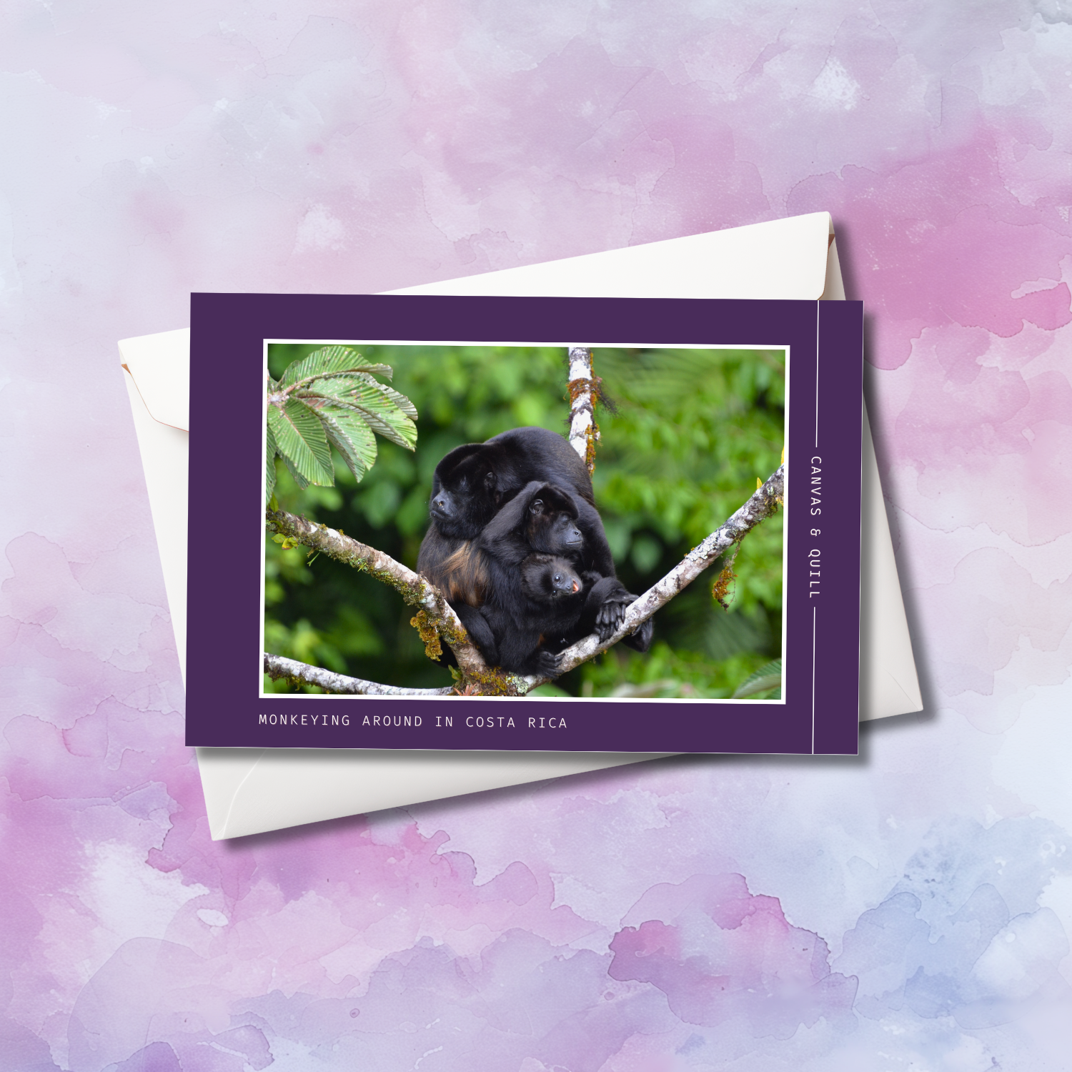 Monkeying Around in Costa Rica Greeting Card