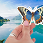 Close-up of the Big Beautiful Butterfly Sticker showcasing intricate details and rich colors, perfect for personalizing items.