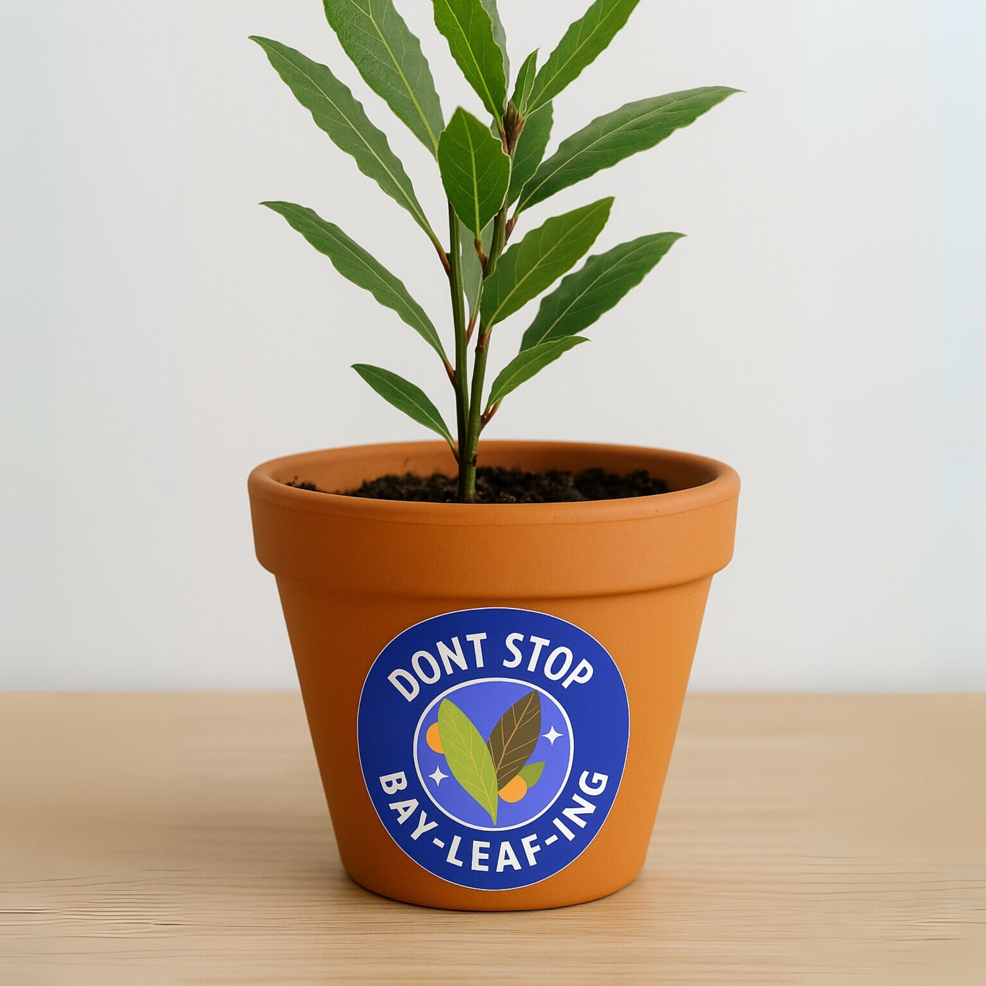 close up of bay leaf sticker