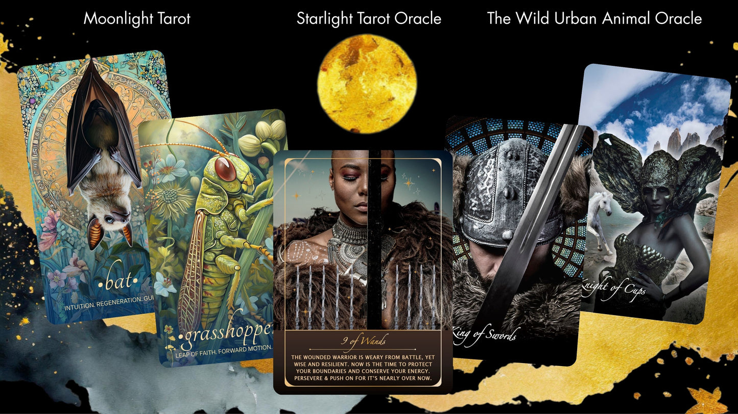 Coming Soon: Wild Urban Animal Oracle