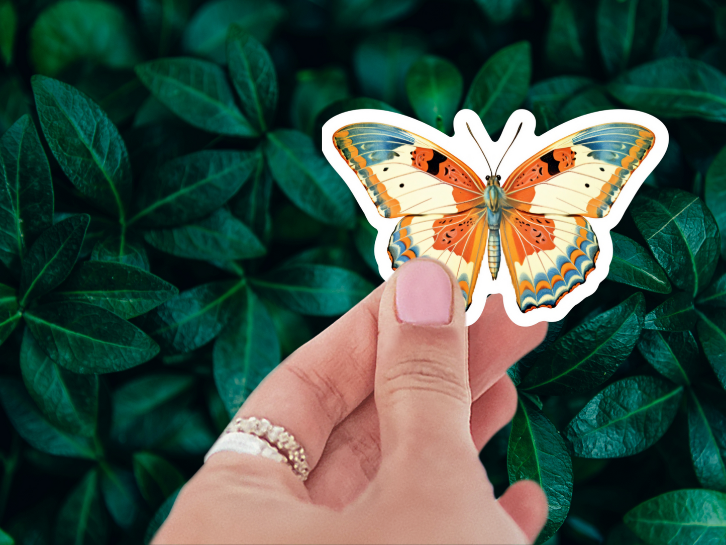 Vintage Retro Butterfly Sticker